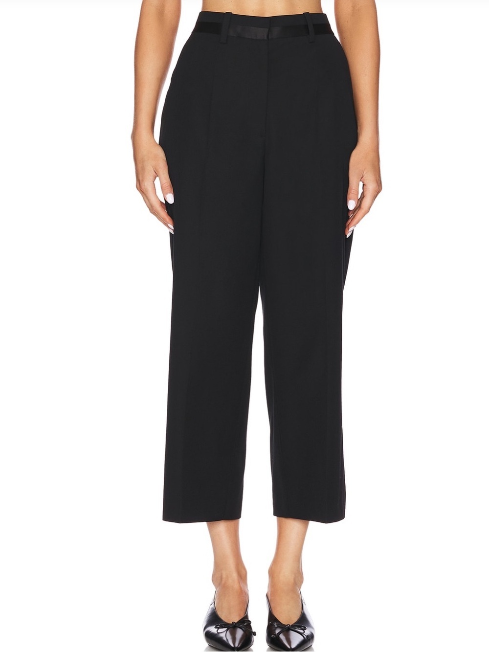Anine Bing Louisa Tailored Trouser in Black